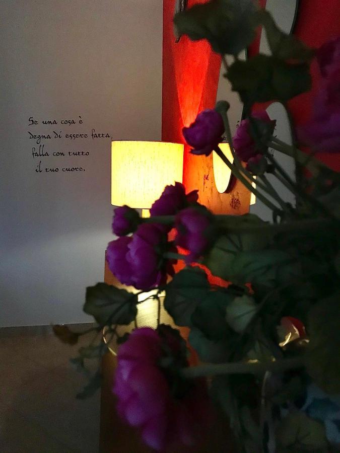 B&B Le Camerette Di Edda 卡西诺 外观 照片