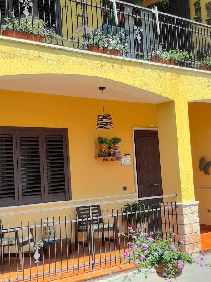 B&B Le Camerette Di Edda 卡西诺 外观 照片