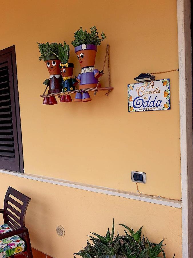 B&B Le Camerette Di Edda 卡西诺 外观 照片